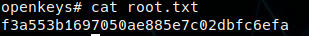 Root Flag