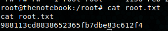 Root Flag